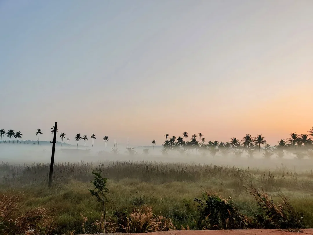 A foggy morning in paradise