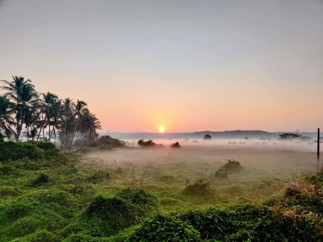 A foggy morning in paradise