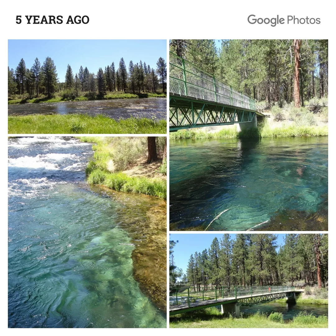 Yep. Oregon was all that and more. So pretty.