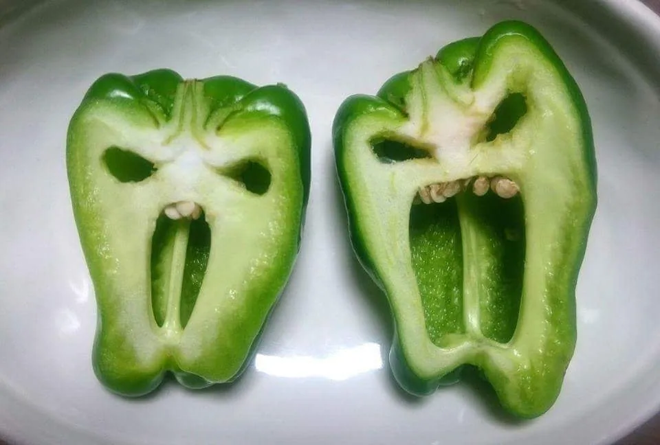 Ghost capsicum wishes you a happy Wednesday.

à¤à¤ªà¤à¤¾ à¤¦à¤¿à¤¨ à¤¶à¥à¤­ à¤¹à¥