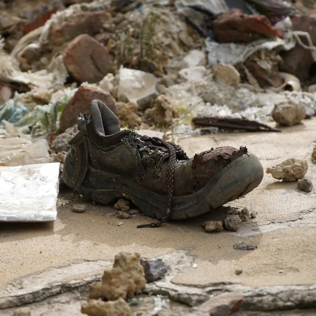 I found this shoe, abandoned at a worksite. Beside it was a pile of rubble, and a wild dandelion plant had grown out of 
