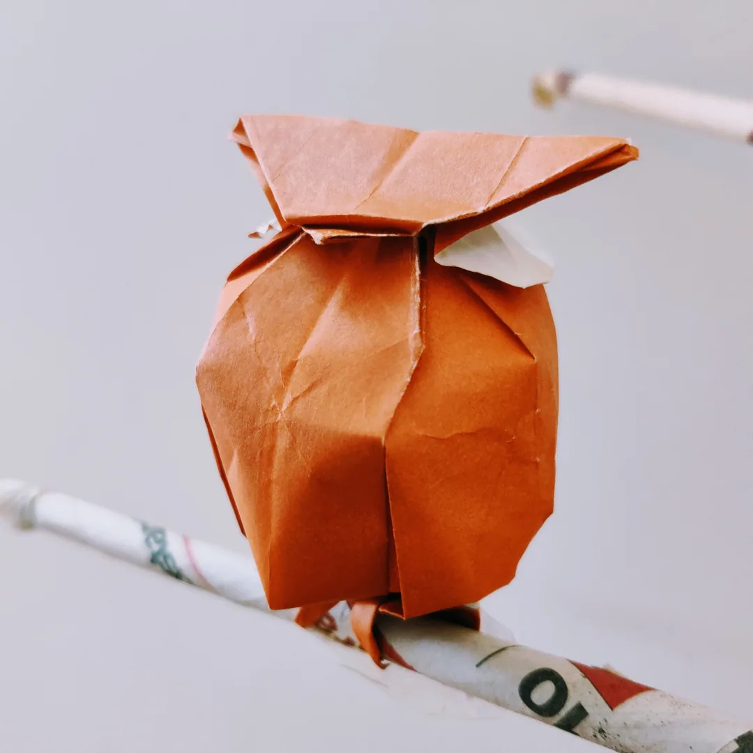 Owl. Origami. Kavin.

à¤¹à¤° à¤¶à¤¾à¤ à¤ªà¥ à¤à¤²à¥à¤²à¥ à¤¬à¥à¤ à¤¾ à¤¹à¥
à¤à¤à¤à¤¾à¤®-à¤- à¤à¥à¤²à¤¿à¤¸à¥