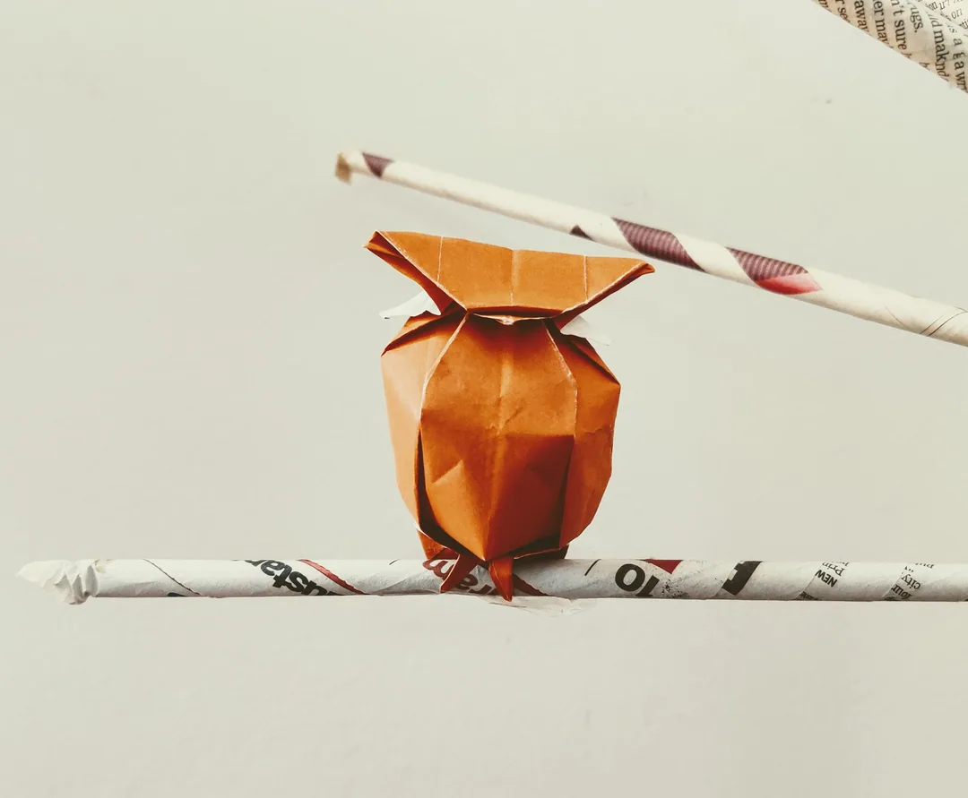 Owl. Origami. Kavin.

à¤¹à¤° à¤¶à¤¾à¤ à¤ªà¥ à¤à¤²à¥à¤²à¥ à¤¬à¥à¤ à¤¾ à¤¹à¥
à¤à¤à¤à¤¾à¤®-à¤- à¤à¥à¤²à¤¿à¤¸à¥