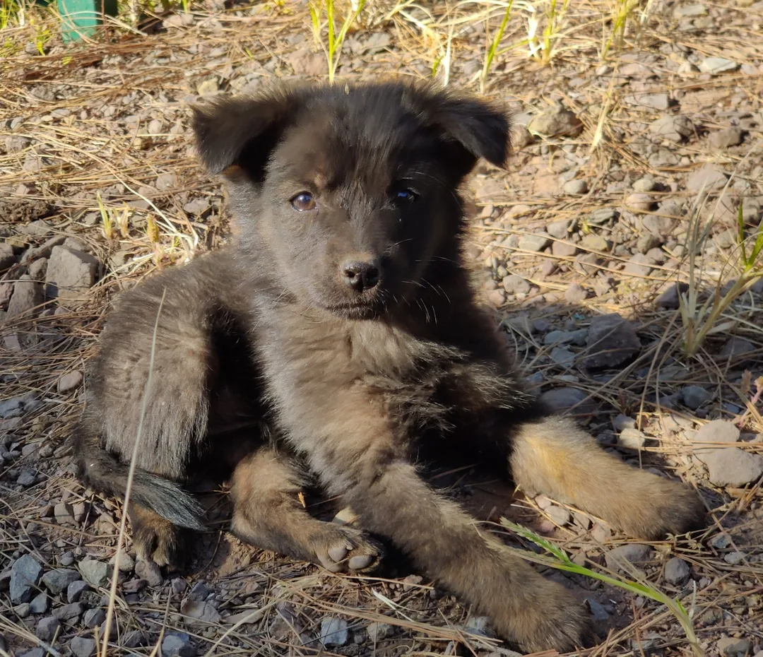Is it that time of the day yet?

Pics by Kavin