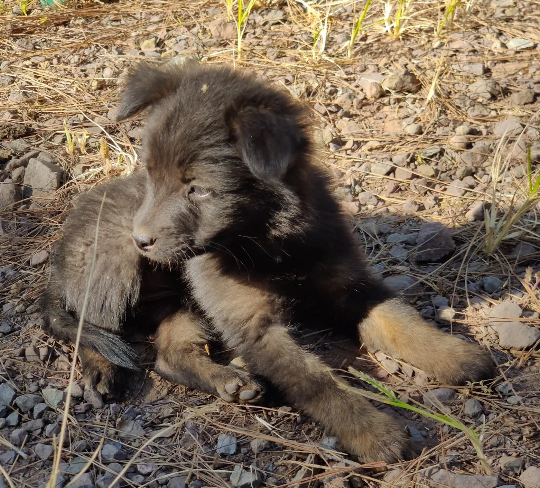 Is it that time of the day yet?

Pics by Kavin