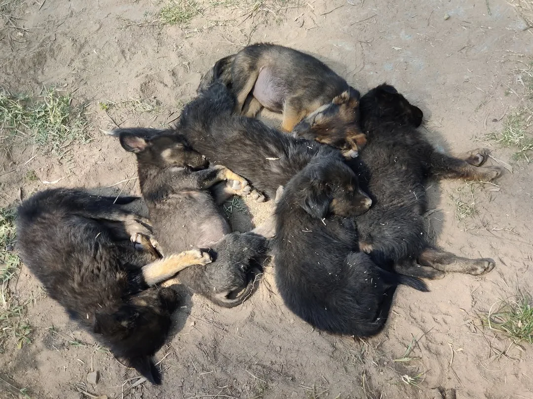 Nap time snuggles in the sun