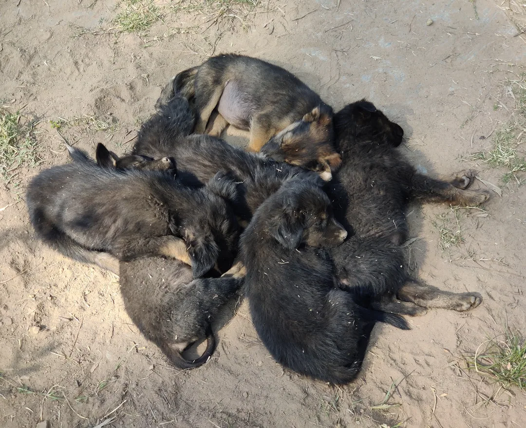 Nap time snuggles in the sun