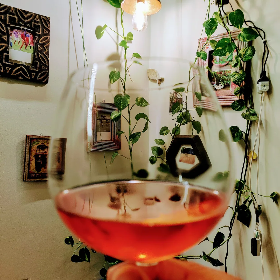 Cheers to the new year, folks.

I don't usually celebrate the passing of time. But I am just so glad to see 2020 go by.