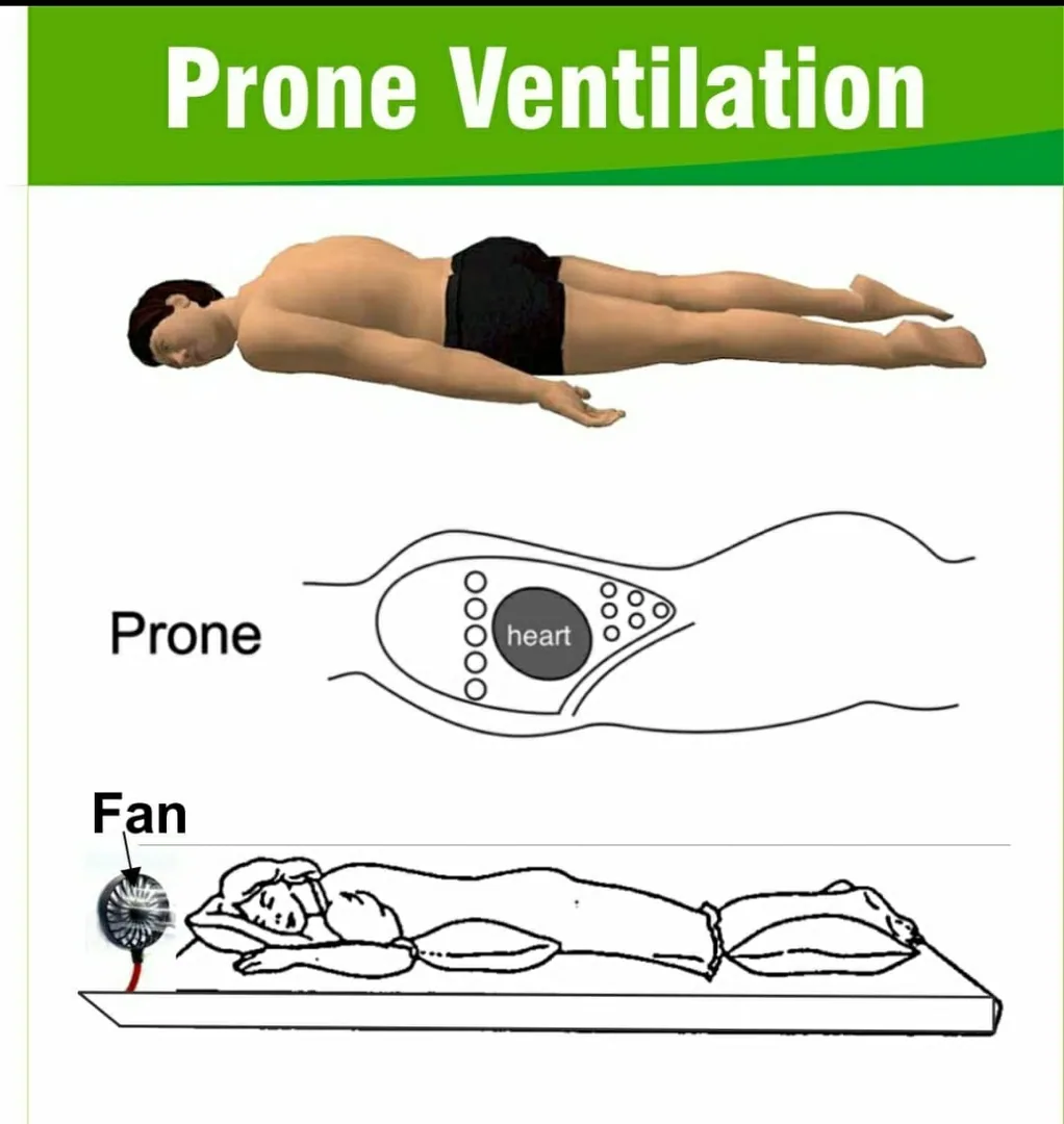 If your oxygen drops, breathe lying on your stomach with a fan in front of your face. This takes your SpO2 up by 5-6 poi