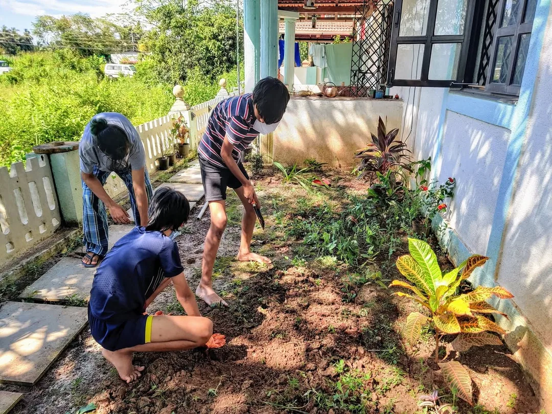 Nilay using visiting friends as free labour on his upcoming vegetable patch.

Since he can't boss over Kavin any more, h
