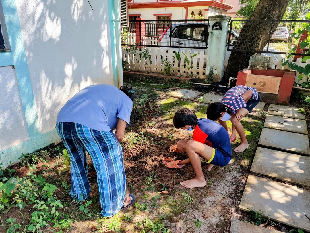 Nilay using visiting friends as free labour on his upcoming vegetable patch.

Since he can't boss over Kavin any more, h