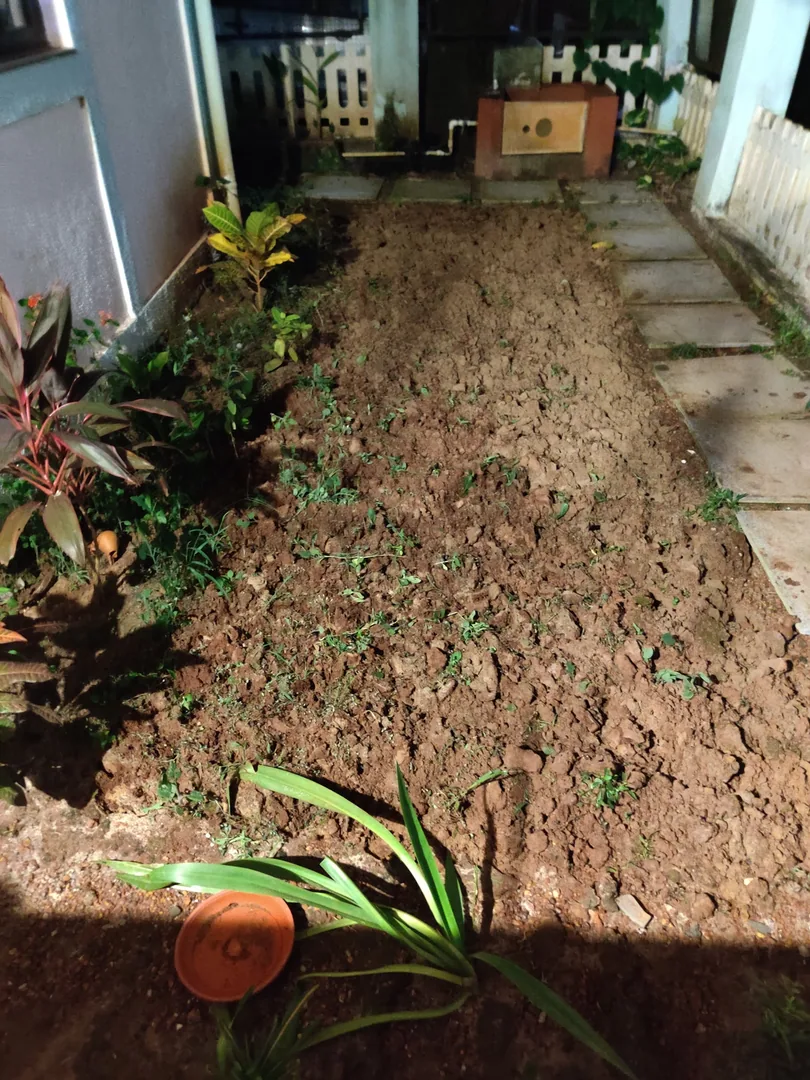 Under the able guidance of our honourable farmer Shri Vijay Sharma Ji, Nilay has dug up his vegetable patch using a newl