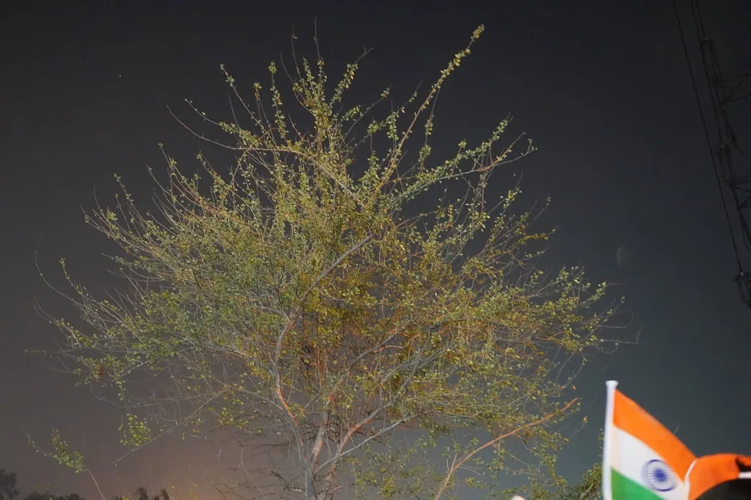 à¤à¤à¤à¤¼à¤¿à¤²à¤¾à¤¬à¥ à¤ªà¥à¤¡à¤¼